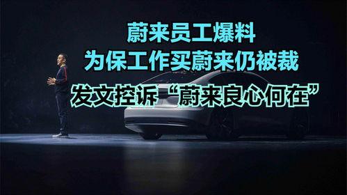 蔚来员工最新爆料,最新爆料揭示企业内部真相！”