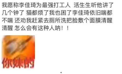 搞笑爆料新闻文案范文怎么写