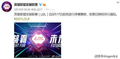 dimoo最新爆料,最新爆料背后的故事与真相